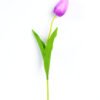 10*10*50CM Single  Tulip GS-1780026-Z1