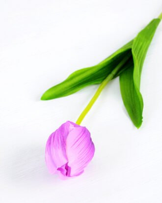 10*10*50CM Single  Tulip GS-1780026-Z1