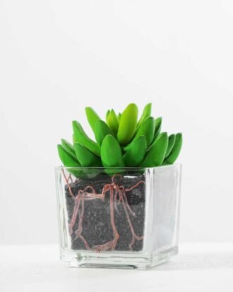 Gem lotus GS-1060035