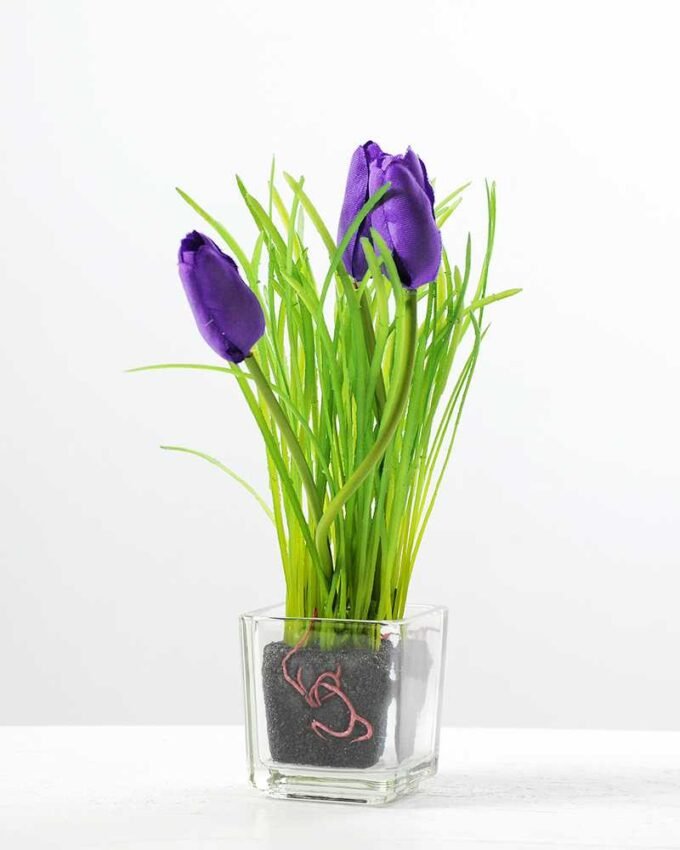 MINI TULIP IN GLASS POT GS-1060075 1 MINI TULIP IN GLASS POT GS-1060075