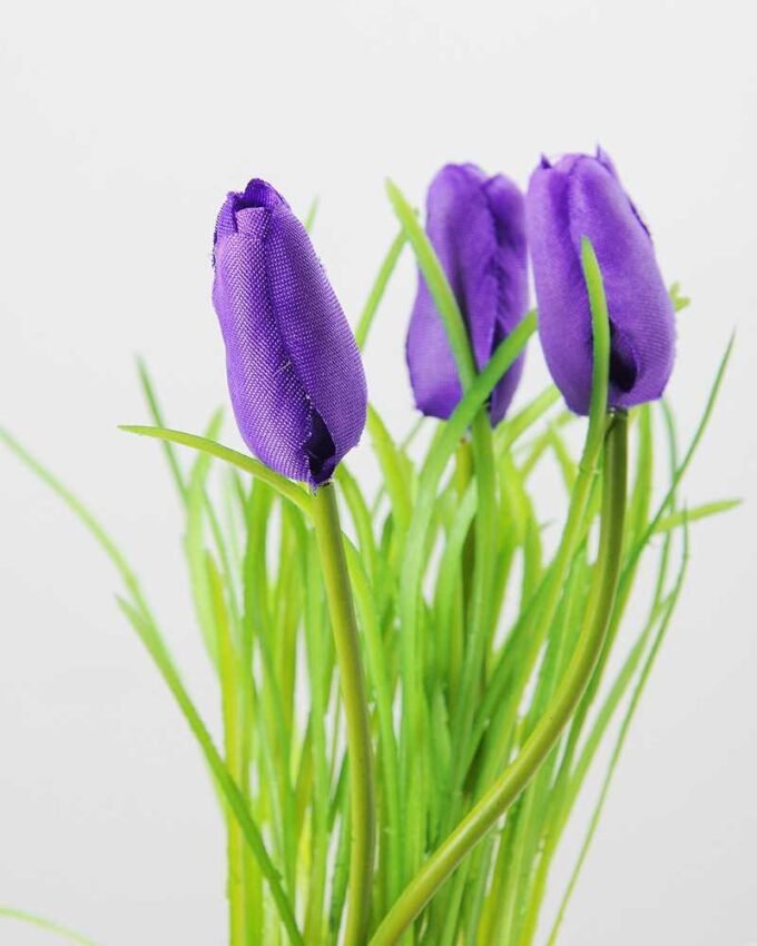 MINI TULIP IN GLASS POT GS-1060075 2 MINI TULIP IN GLASS POT GS-1060075