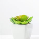 land lotus in ceramic pot(M) GS-1060110