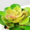 land lotus in ceramic pot(M) GS-1060110