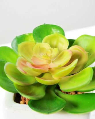 land lotus in ceramic pot(M) GS-1060110