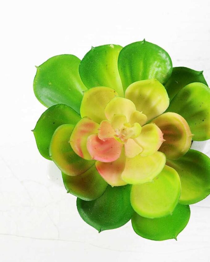 land lotus in ceramic pot(M) GS-1060110