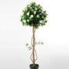 151cm Rose Tree in the 8"plastic pot/1458LVS/78 FL/3 GS-1380255 1 151cm Rose Tree in the 8"plastic pot/1458LVS/78 FL/3 GS-1380255