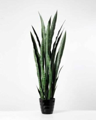 43*120CM Sansevieria in plastic pot GS-1380337
