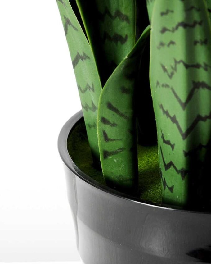 43*120CM Sansevieria in plastic pot GS-1380337