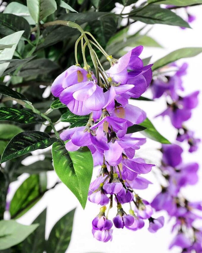 125cm Beancurd flower in Plastic pot GS-1380344