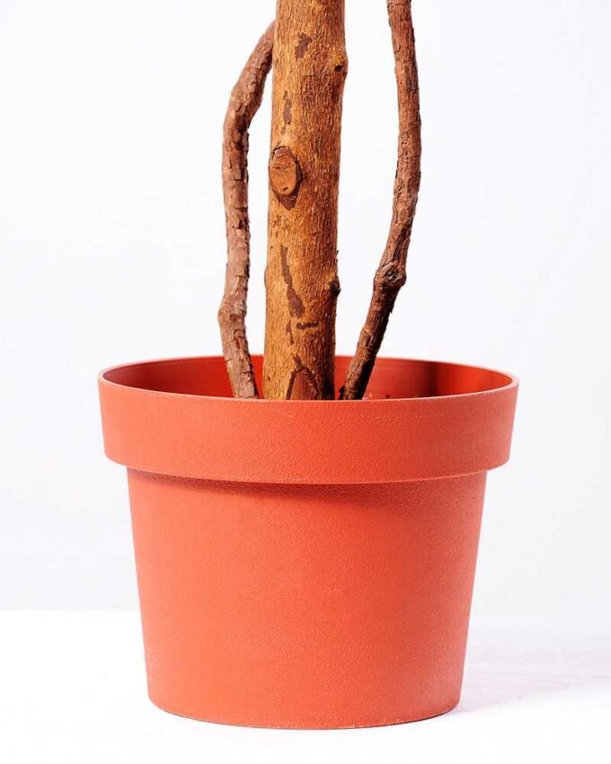 125cm Beancurd flower in Plastic pot GS-1380344