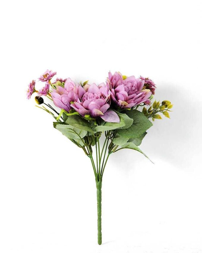 21*32cm Dahlia bush*7 GS-1390362