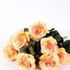 24*57cm Rose*10 GS-1430025-C2