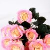 24*57cm Rose*10 GS-1430025-P1