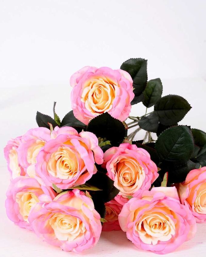 24*57cm Rose*10 GS-1430025-P1