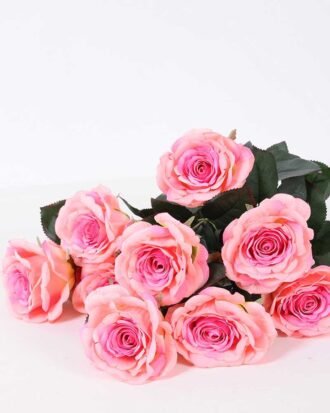 24*57cm Rose*10 GS-1430025-P2