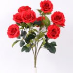 24*57cm Rose*10 GS-1430025-R1
