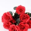 24*57cm Rose*10 GS-1430025-R1 2 24*57cm Rose*10 GS-1430025-R1