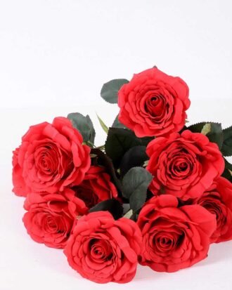 24*57cm Rose*10 GS-1430025-R1
