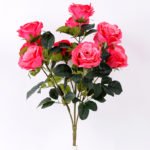 24*57cm Rose*10 GS-1430025-R2