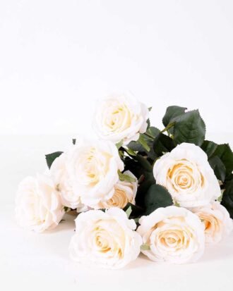 24*57cm Rose*10 GS-1430025-W1