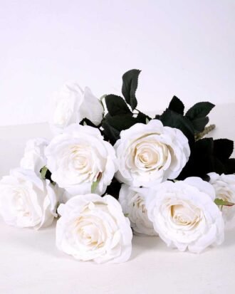 24*57cm Rose*10 GS-1430025-W2