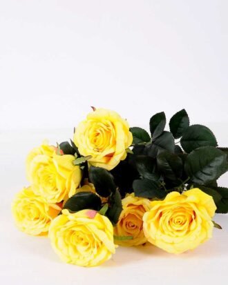 24*57cm Rose*10 GS-1430025-Y1