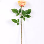 16*77cm Single Rose GS-1430027-C1