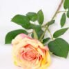 16*77cm Single Rose GS-1430027-C1 2 16*77cm Single Rose GS-1430027-C1