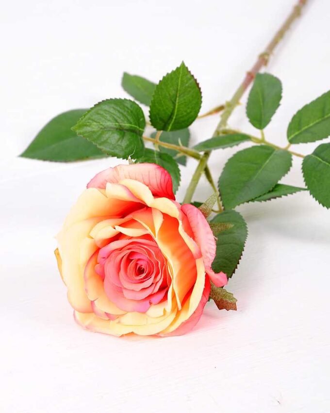 16*77cm Single Rose GS-1430027-C2