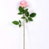 16*77cm Single Rose GS-1430027-P1