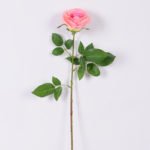 16*77cm Single Rose GS-1430027-P2