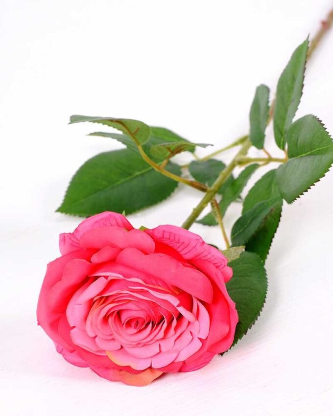 16*77cm Single Rose GS-1430027-R1