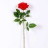 16*77cm Single Rose GS-1430027-R2