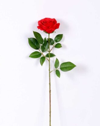 16*77cm Single Rose GS-1430027-R2 Single Flowers YeahFlower is one of Chinese leading OEM manufacturers and exporters , supplying the silk flowers, wholesale artificial trees 16*77cm Single Rose GS-1430027-R2