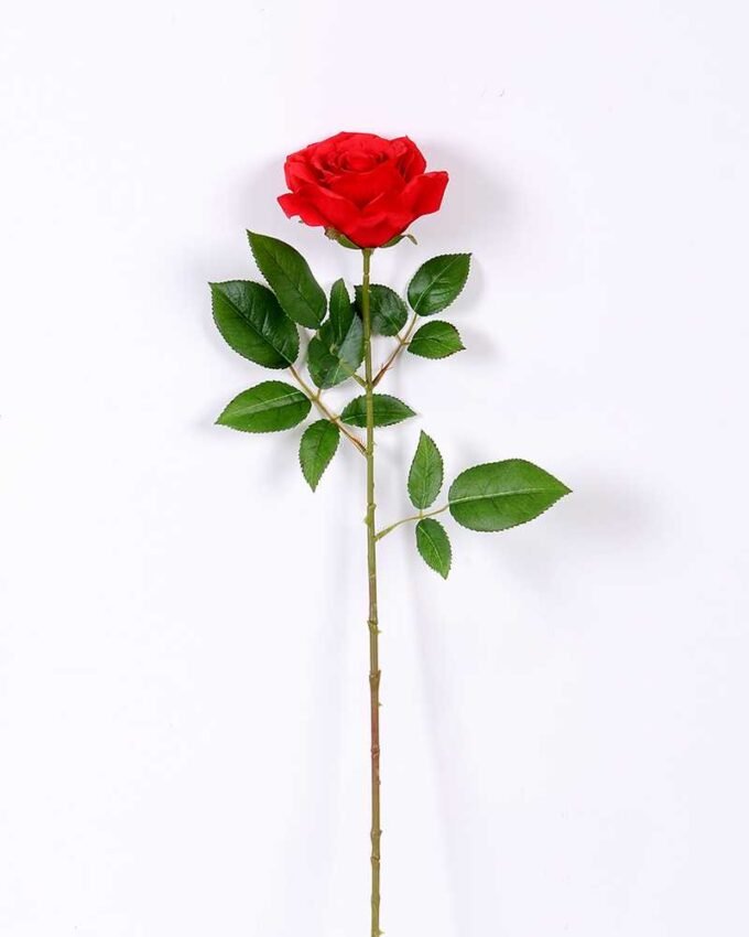 16*77cm Single Rose GS-1430027-R2
