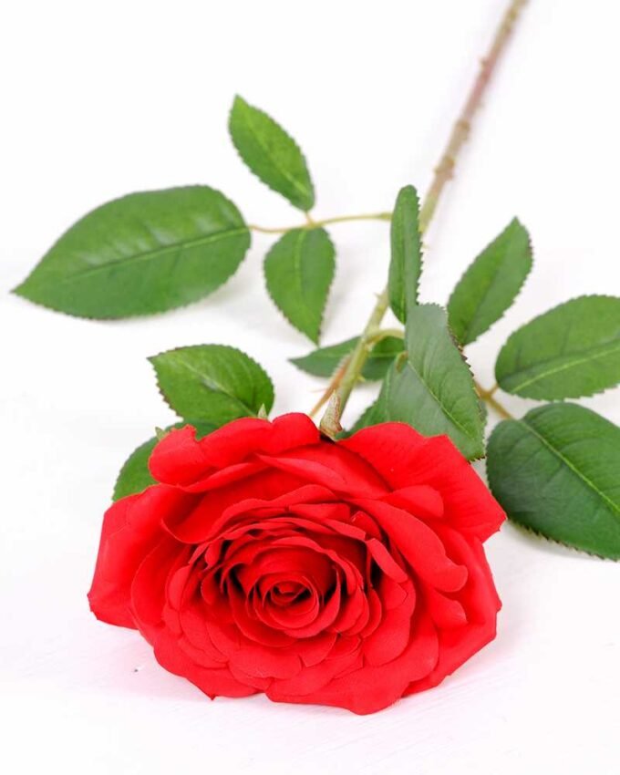 16*77cm Single Rose GS-1430027-R2