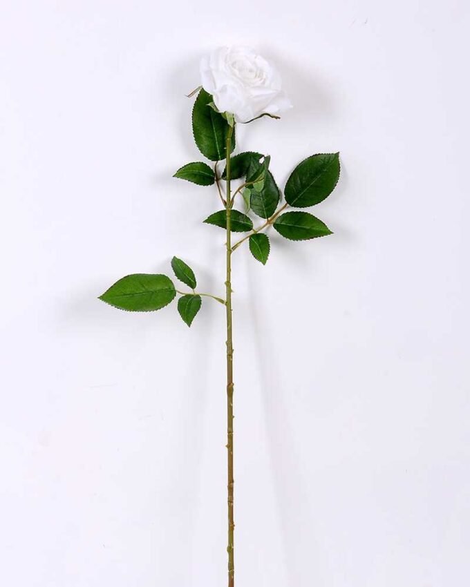 16*77cm Single Rose GS-1430027-W1