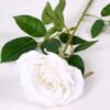 16*77cm Single Rose GS-1430027-W1