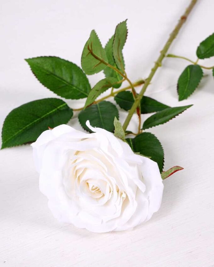 16*77cm Single Rose GS-1430027-W1