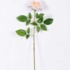 16*77cm Single Rose GS-1430027-W2