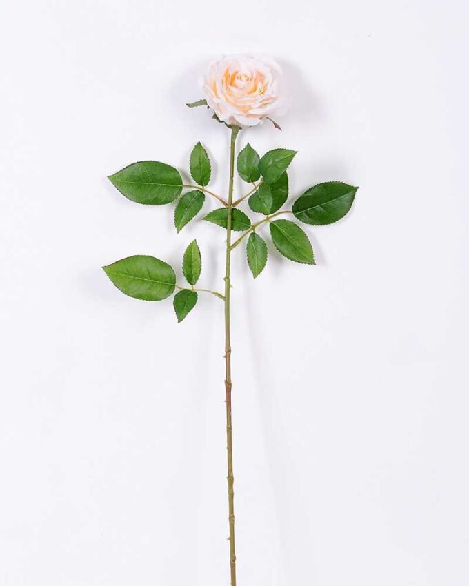 16*77cm Single Rose GS-1430027-W2