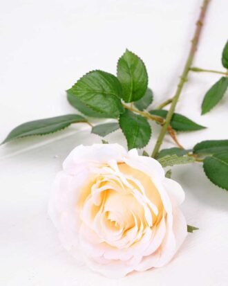 16*77cm Single Rose GS-1430027-W2