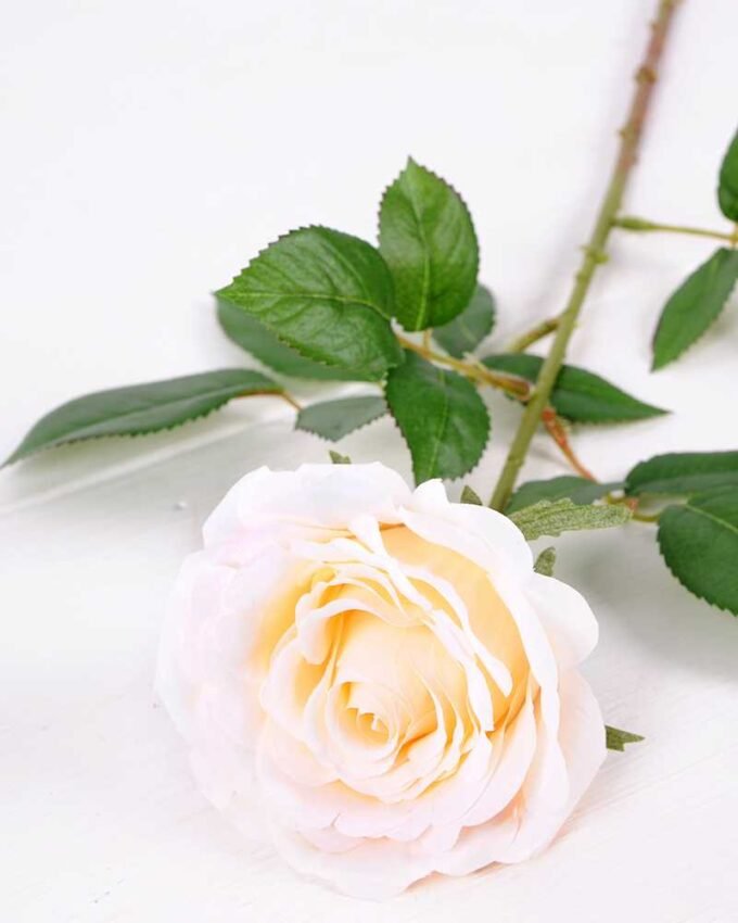 16*77cm Single Rose GS-1430027-W2