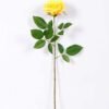 16*77cm Single Rose GS-1430027-Y1