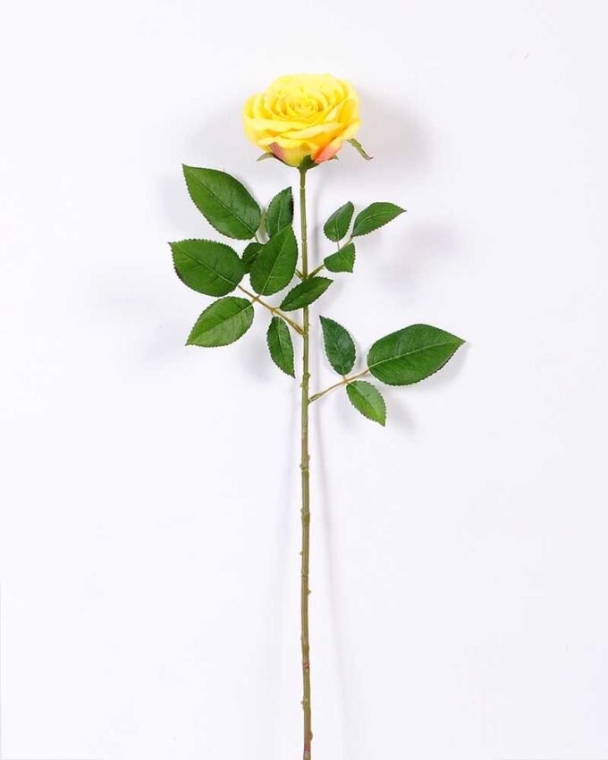 16*77cm Single Rose GS-1430027-Y1