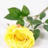 16*77cm Single Rose GS-1430027-Y1