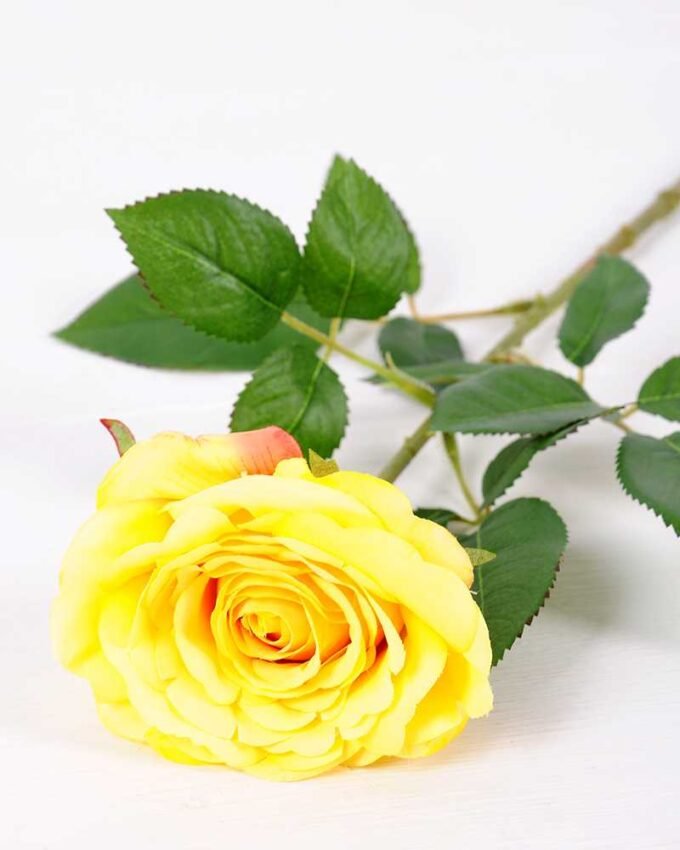 16*77cm Single Rose GS-1430027-Y1