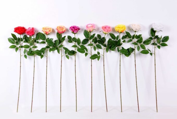16*77cm Single Rose GS-1430027-Y1