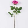 16*77cm Single Rose GS-1430027-Z1
