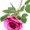 16*77cm Single Rose GS-1430027-Z1